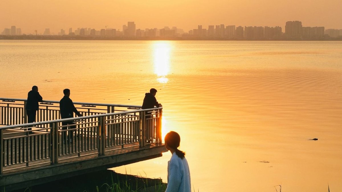 Solas y desarraigadas, sin que nadie tenga en cuenta sus intereses ni sus sentimientos, las víctimas de la Revolución Sexual comparecen en el ocaso de la civilización que ésta ha destruido.