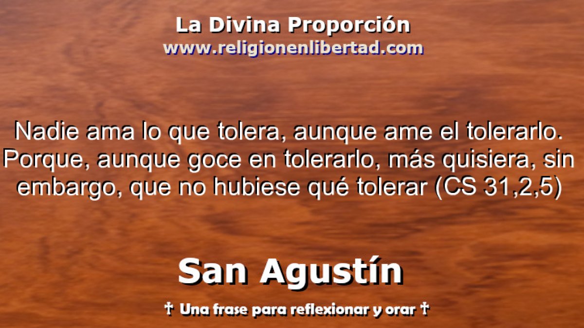 Tolerar no es indiferencia