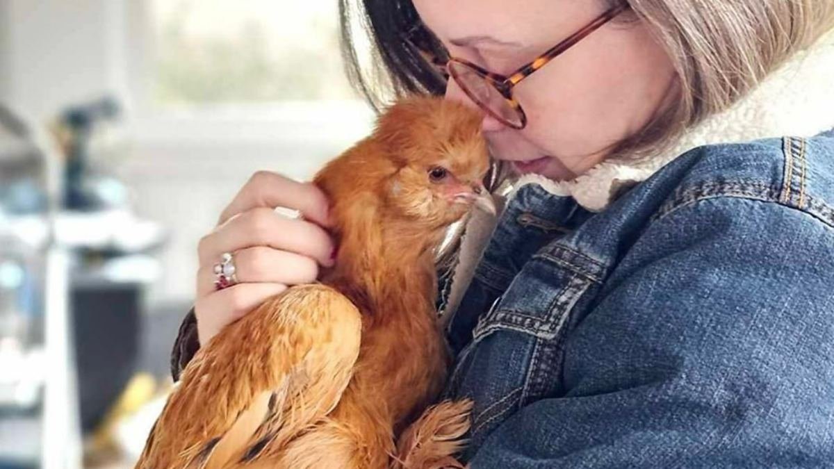 Emily Zanotti, con una de las gallinas que cría en su pequeño olivar.