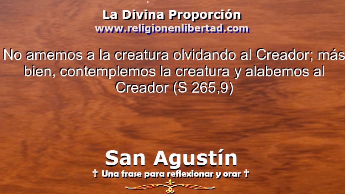 🔹San Agustín. Sermón 265,9🔹