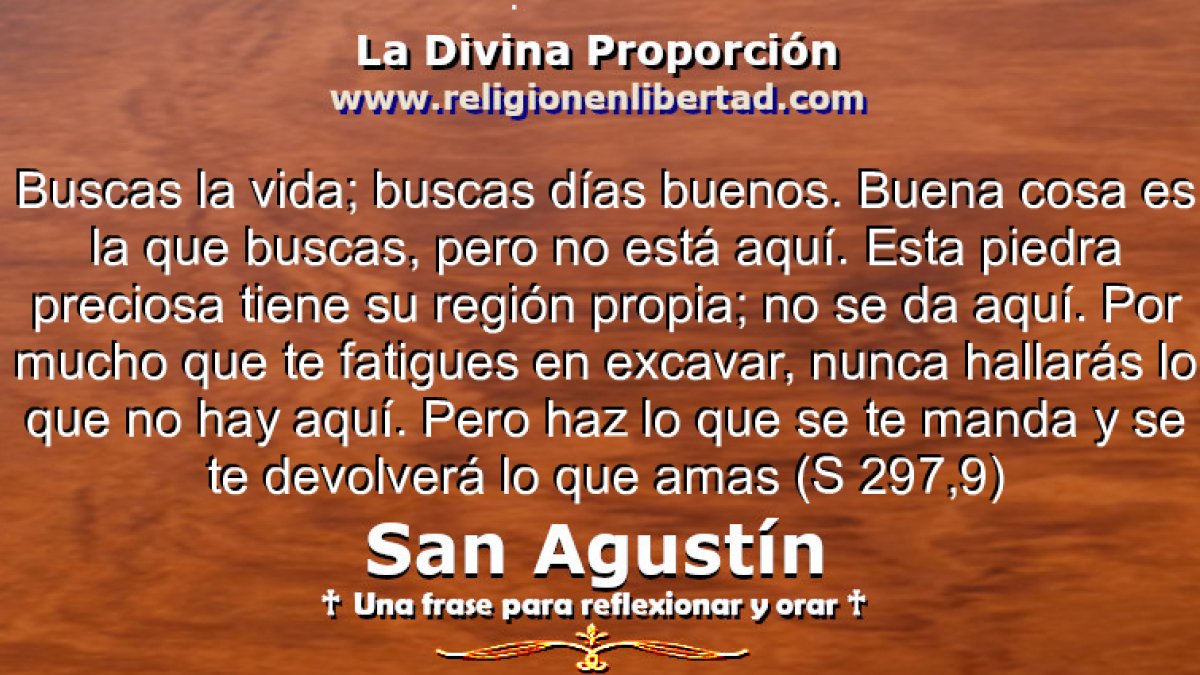 🔹San Agustín. Sermón 179A, 4🔹