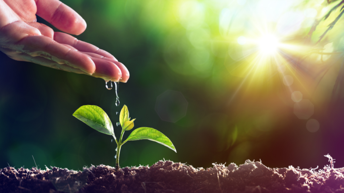 Señor, auméntanos la Fe