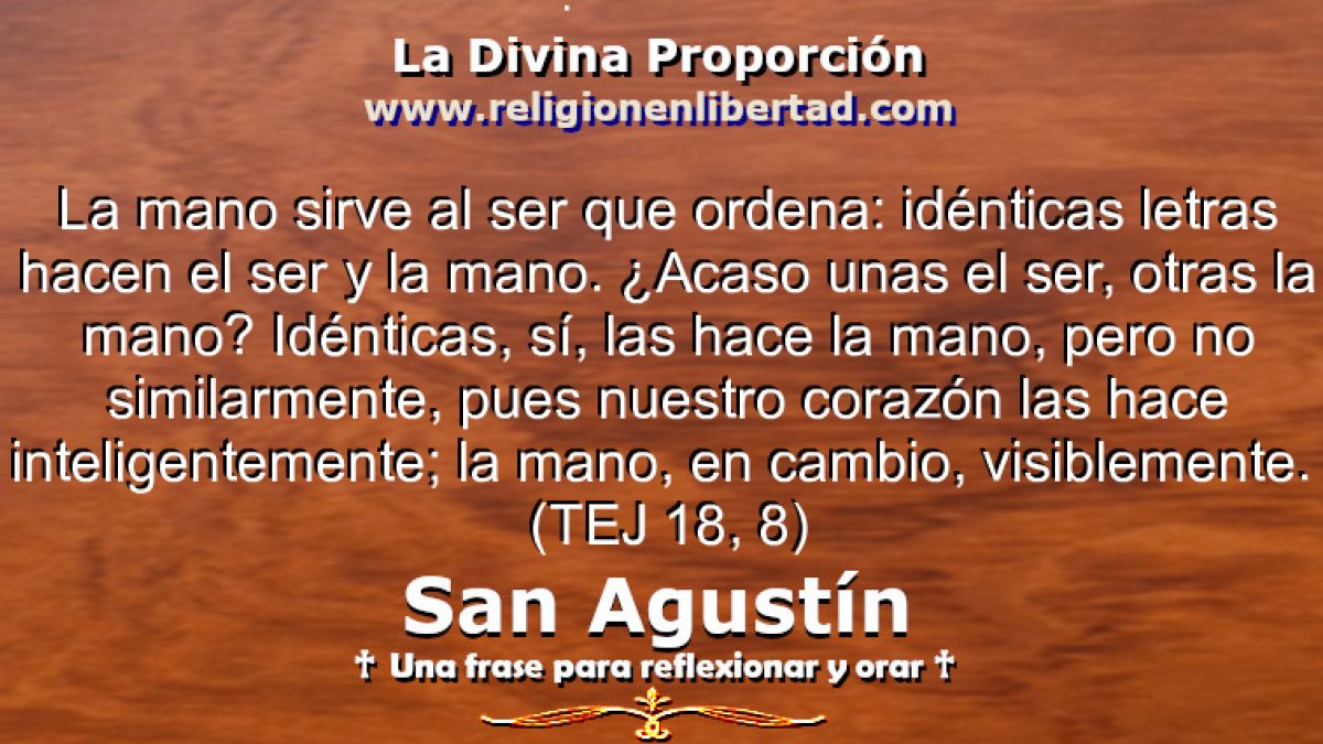 🔹San Agustín. Tratado sobre el Evangelio de San Juan 18, 8🔹