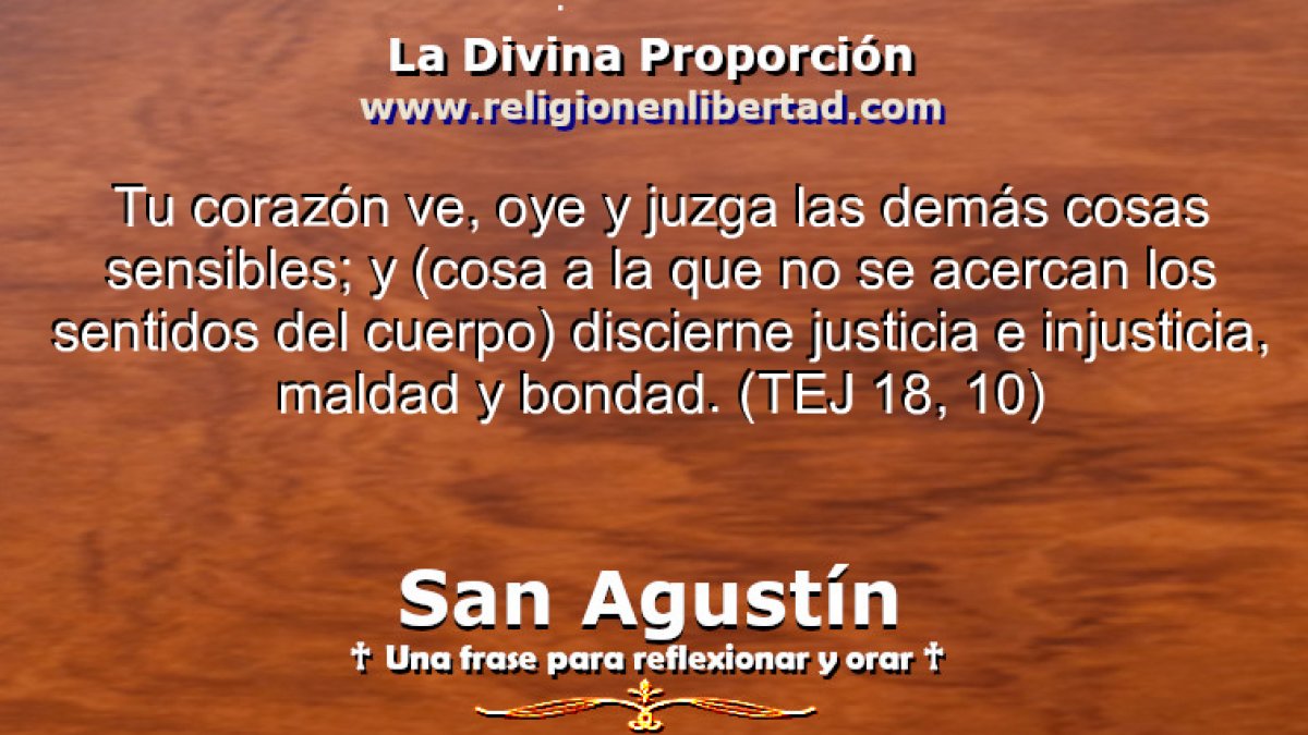 🔹San Agustín. tratado sobre el Evangelio de San Juan (18, 10)🔹