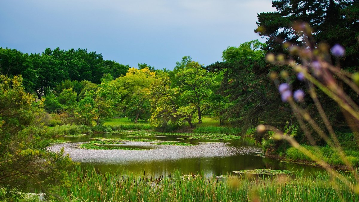 Imagen de estanque por Thomas H.