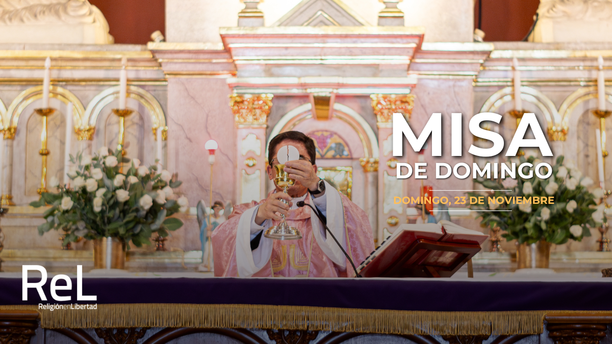 Este domingo 16 de noviembre, la Iglesia celebra la IX Jornada Mundial de los Pobres, en la que el Papa León XIV recuerda y explica que 