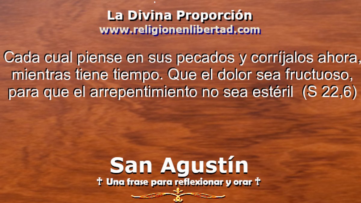 🔹San Agustín. Comentario al Salmo 22, 6🔹