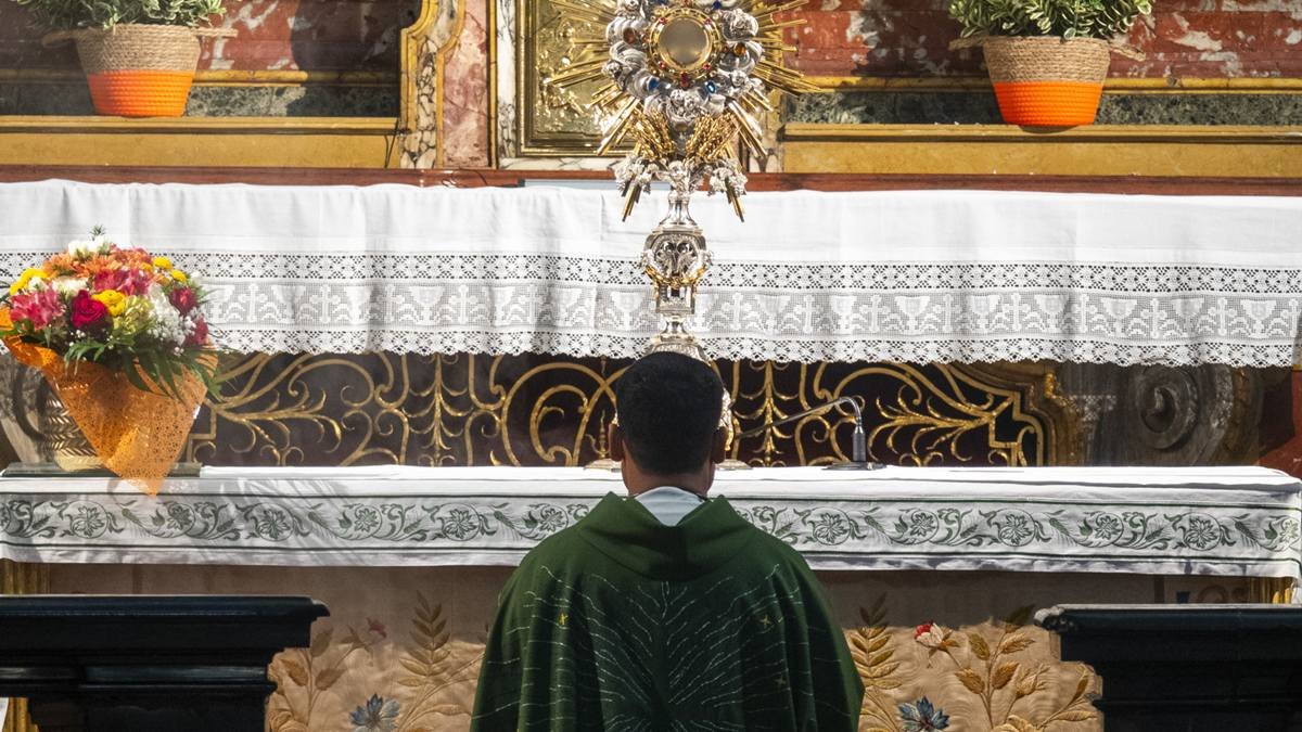 La identidad sacerdotal es una en algunos aspectos pero con la diversidad de su condición secular o regular.