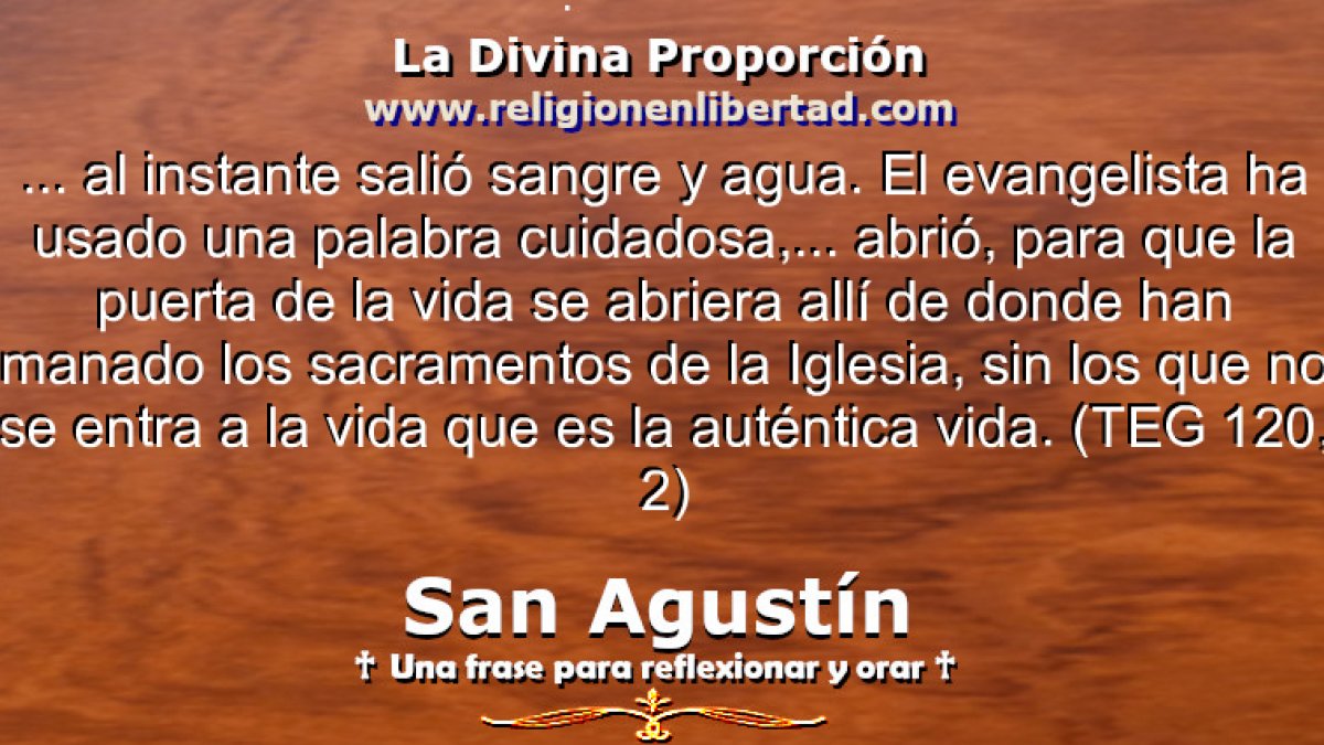 🔹San Agustín. (Tratado del Evangelio de San Juan 120, 2)🔹