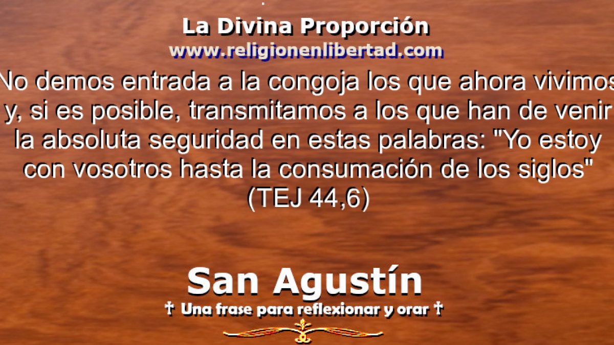 🔹San Agustín. (Tratado del Evangelio de San Juan 44, 6)🔹