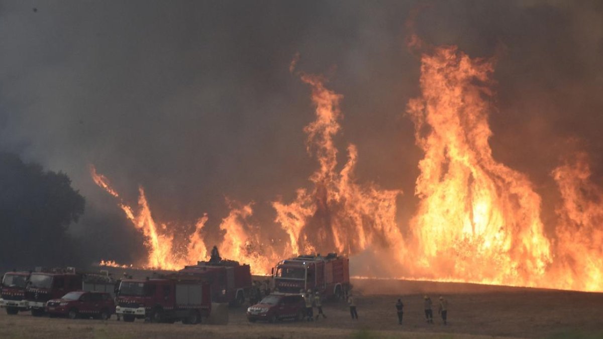 El fuego sigue avanzando por la sierra de Oeste obligando a evacuar a decenas de miles de personas.