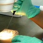 Las técnicas de fecundación in vitro son la antesala de la eugenesia.
