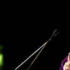 El arzobispo de Denver, Samuel Aquila, apoya que una comisión que incluya laicos examine las acusaciones contra sacerdotes y obispos, para evitar que vuelvan a encubrirse casos.