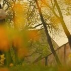 Gregor Mendel pasea por su huerto... y Jesús, como el Resucitado que parecía un jardinero, una alegoría del Creador - en el documental de Goya Producciones en 2018