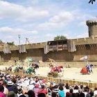 El espectáculo medieval, en acción.