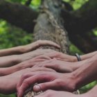 Las pseudoespiritualidades para consumo occidental son métodos de autoayuda que buscan conexiones con la naturaleza desconectándonos de Dios. El Mentiroso es el gran beneficiario de ese engaño. Foto (contextual): Shane Rounce / Unsplash.