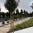 El espacio está compuesto por un amplio lugar de columbarios en pared, columbarios arbusto y una zona ajardinada con rosas híbridas iceberg de color blanco destinada al esparcimiento de cenizas.