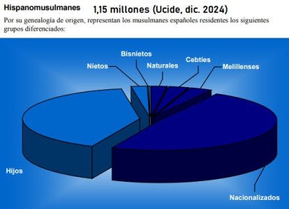 Origen de los musulmanes con nacionalidad española a finales de 2024